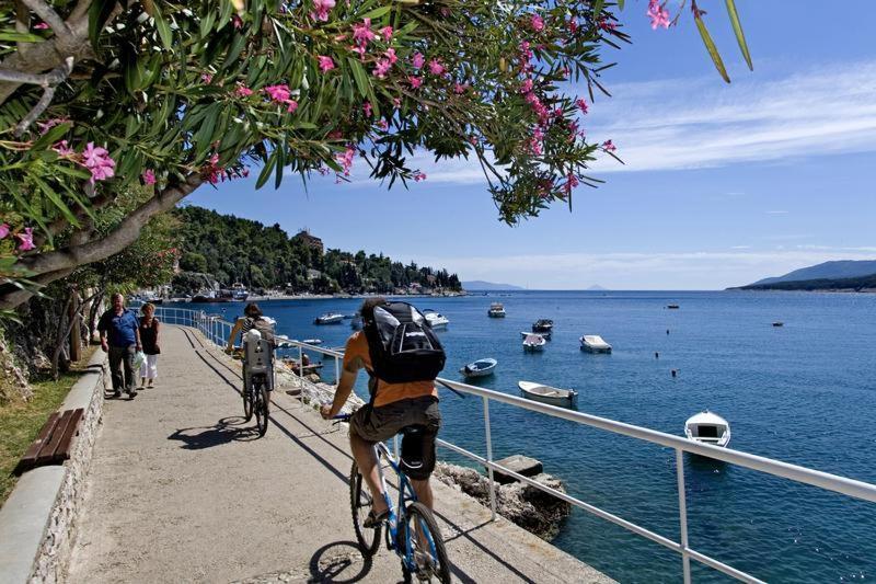 Sea And Wind Villa Labin Labin  Zewnętrze zdjęcie