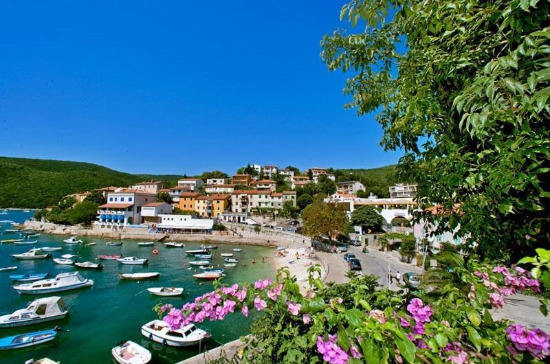 Sea And Wind Villa Labin Labin  Zewnętrze zdjęcie
